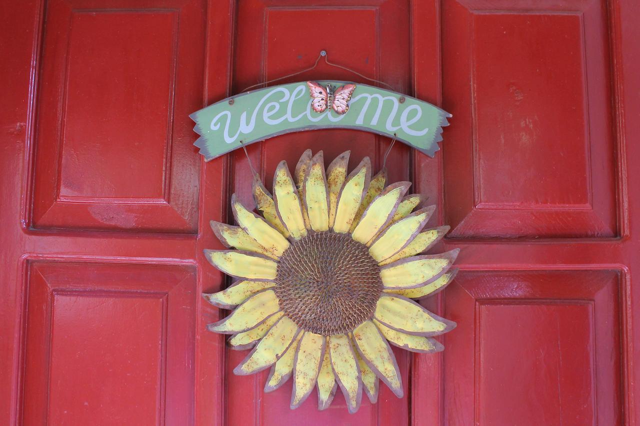 Guest house Doga Pension