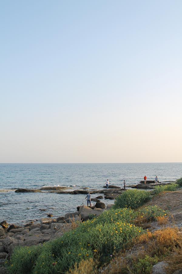 Doga Pension