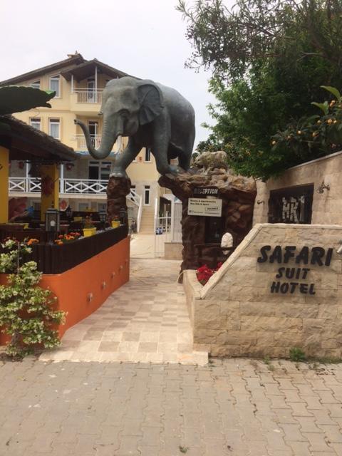 Aparthotel Safari Suit 2024-3