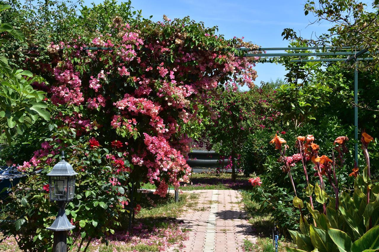 Lemon Garden 2* Cirali