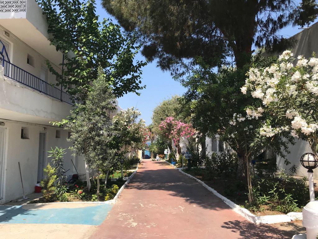Marvel Guvercinlik (Bodrum)
