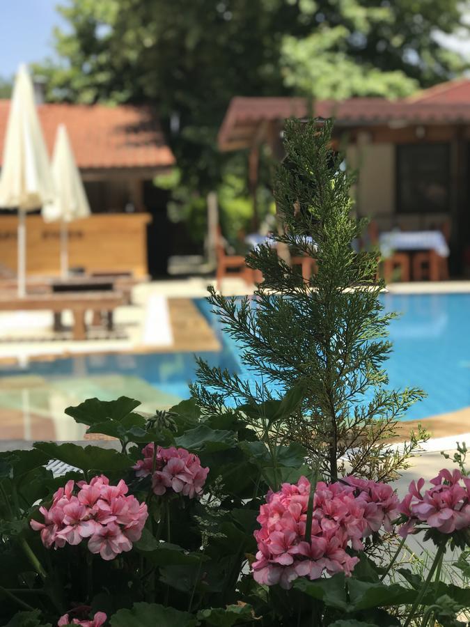 Homestay Kerpic Evler