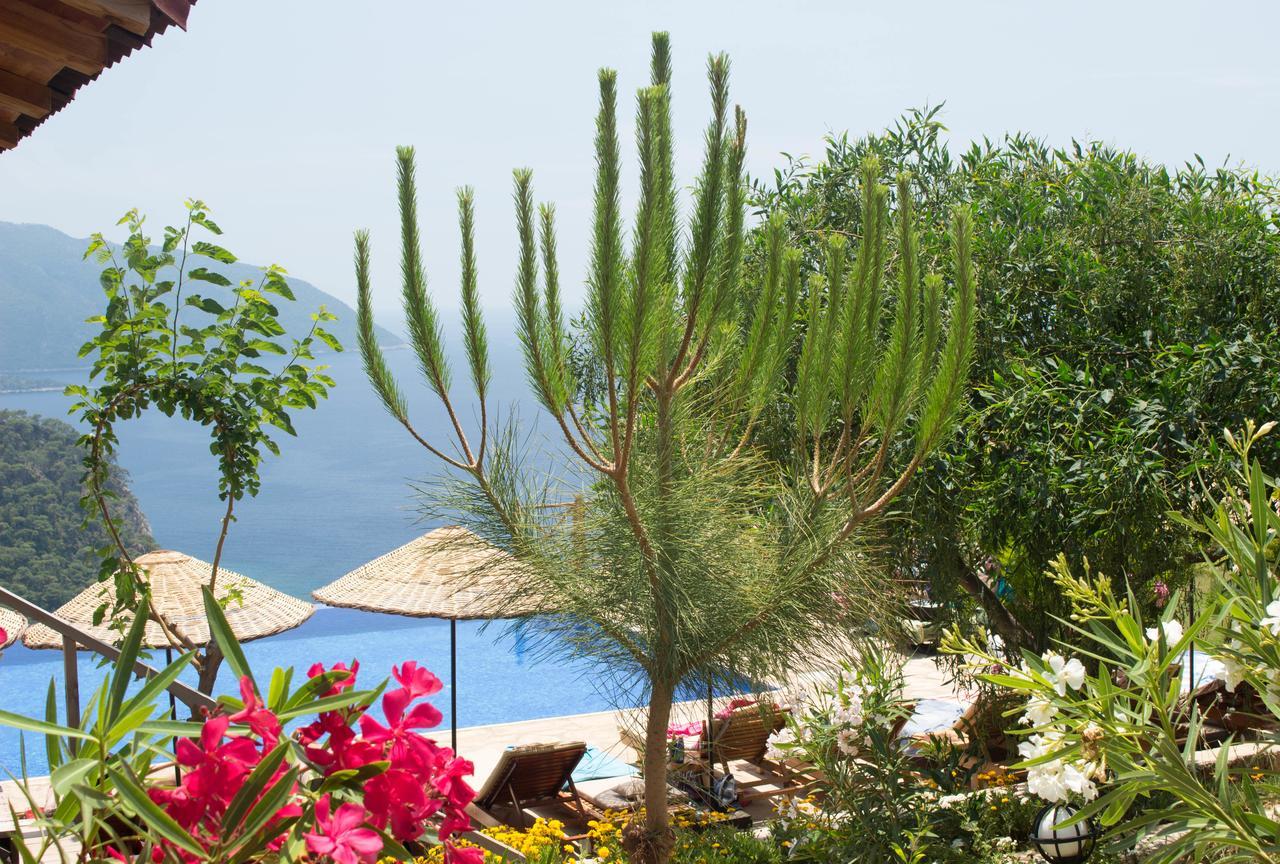 Olive Garden Kabak 2*