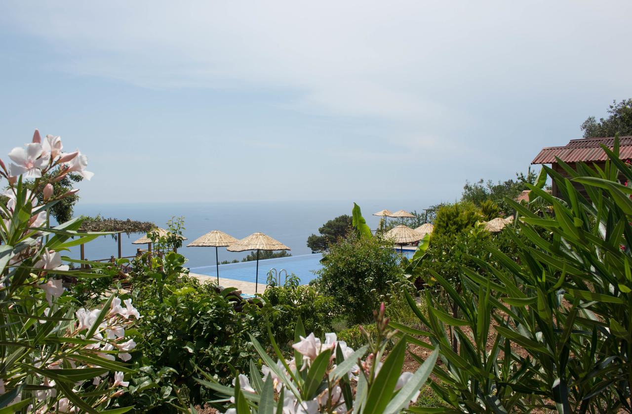 Holiday park Olive Garden Kabak