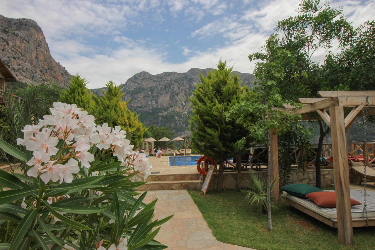 Holiday park Olive Garden Kabak 2*