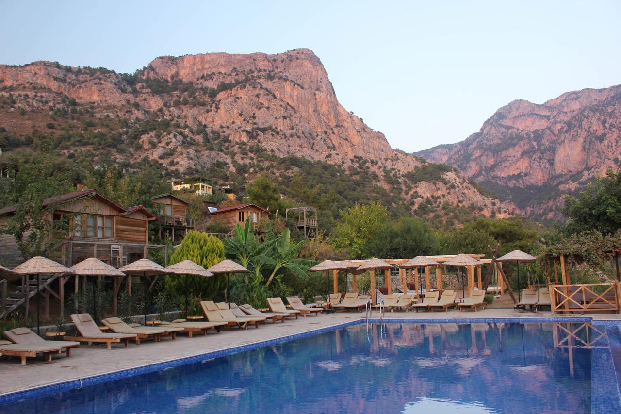 Olive Garden Kabak 2* Faralya