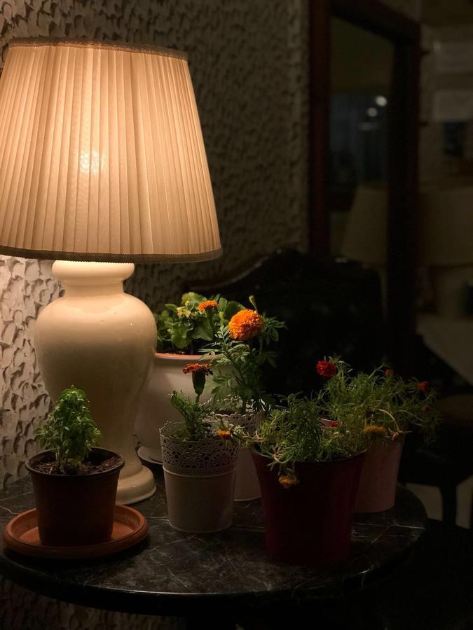Hotel Karadede *
