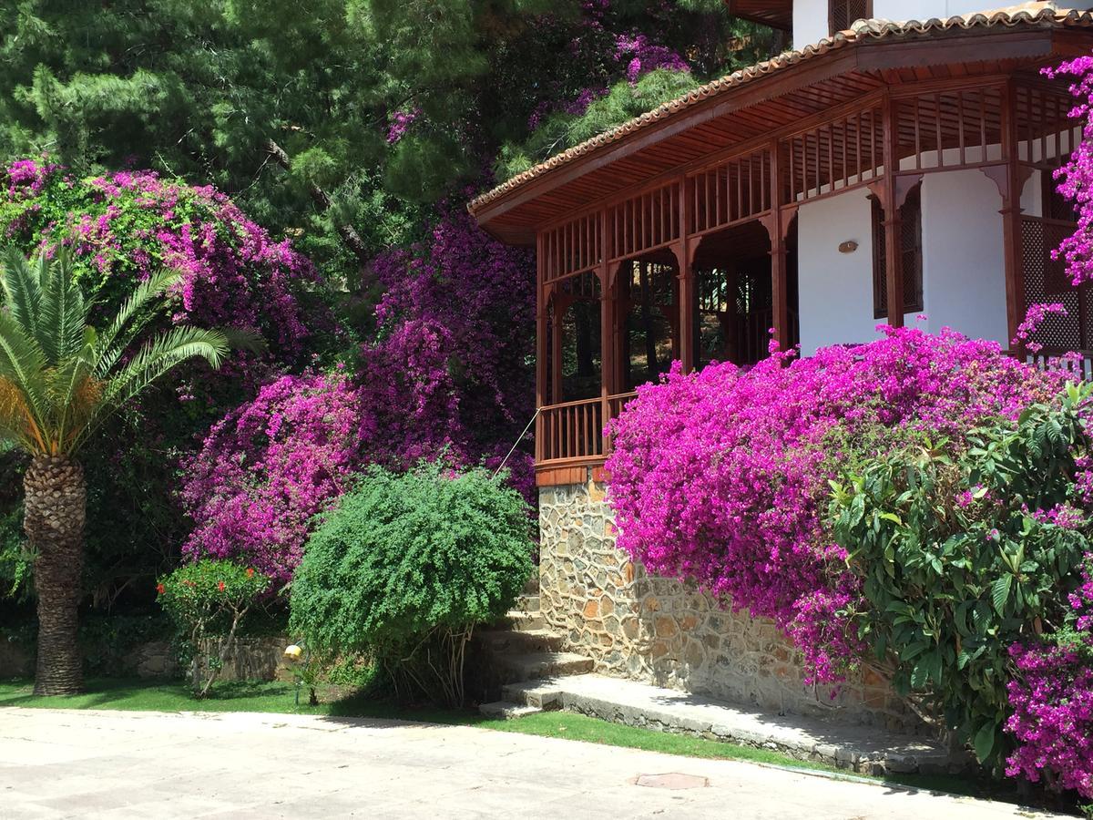 Club & Letoonia Fethiye