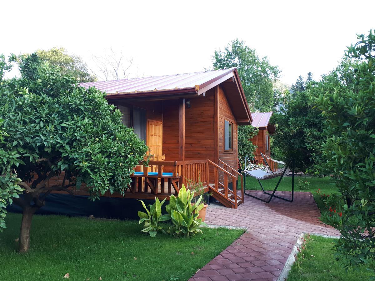 Asya Bed & Breakfast