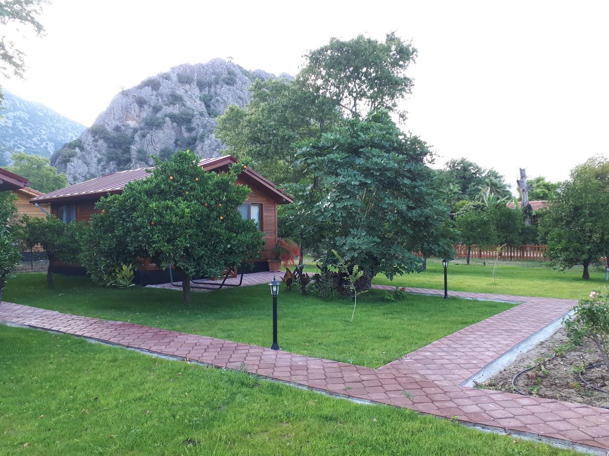 Asya Bed & Breakfast *