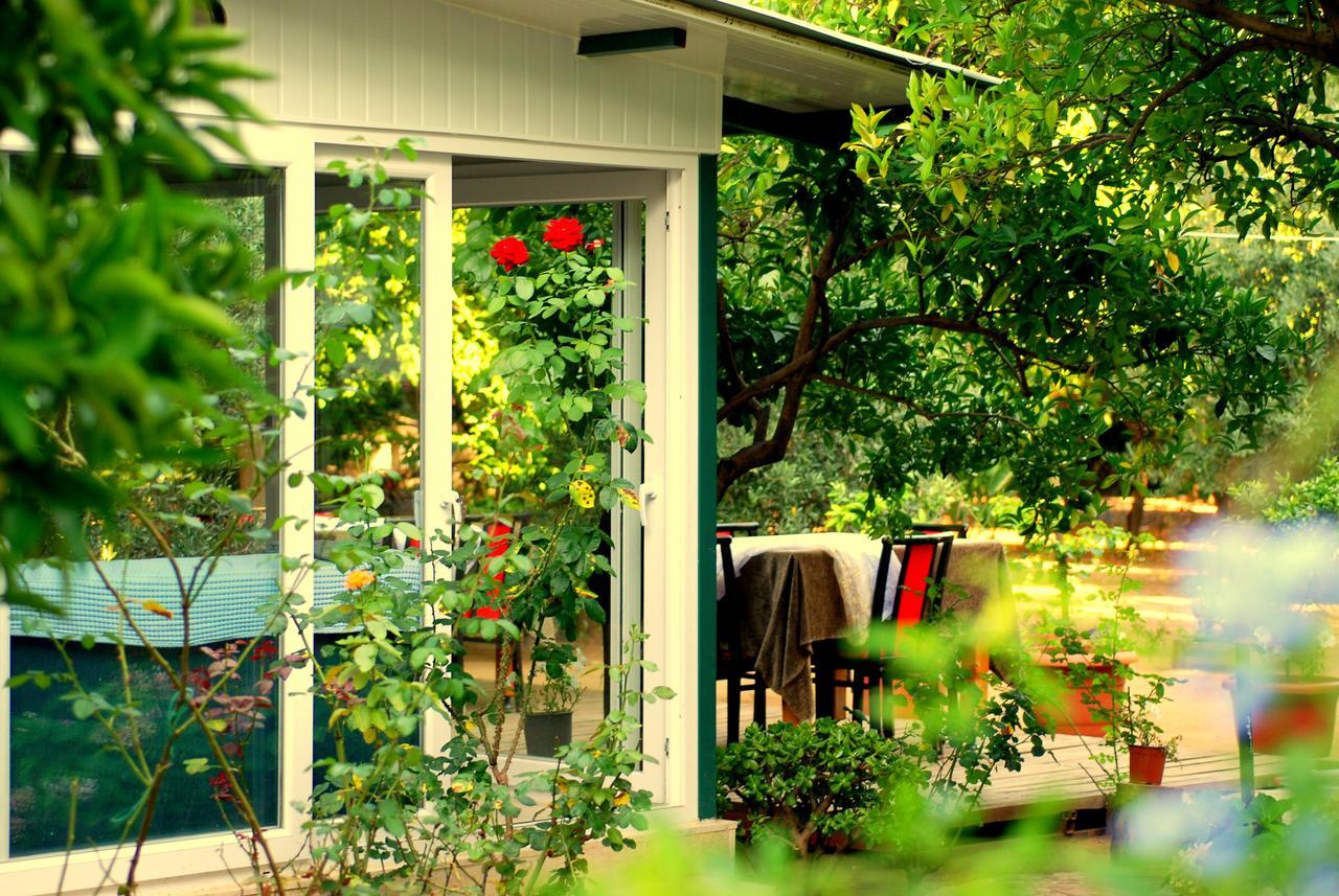Cemils Guest house *
