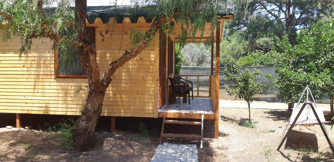 Campsite Secret Garden & 4*