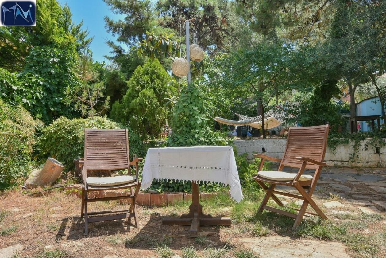 Guest house Mavi Pension *
