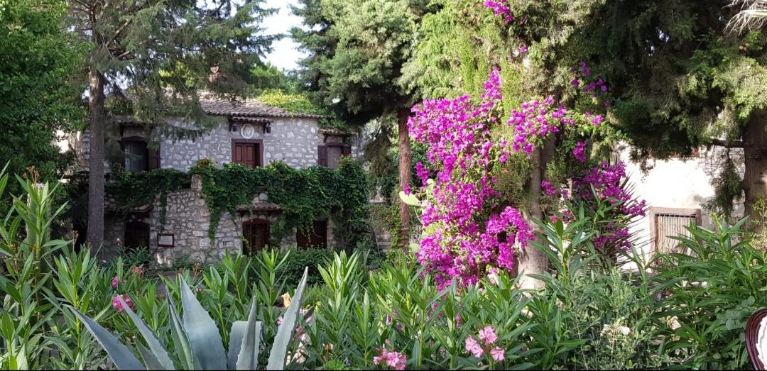 Medusa House Butik Guest house Didim