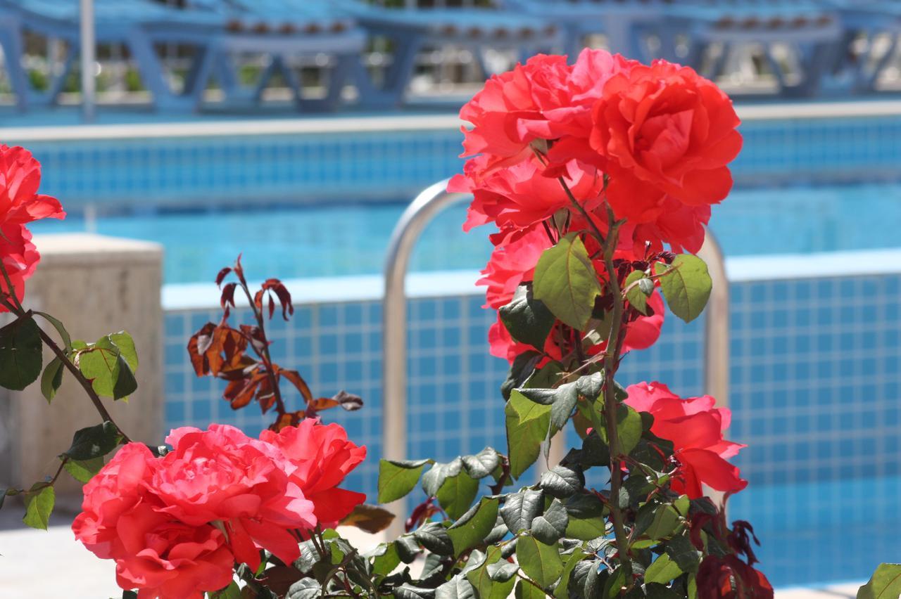 Rose Guest house 3*