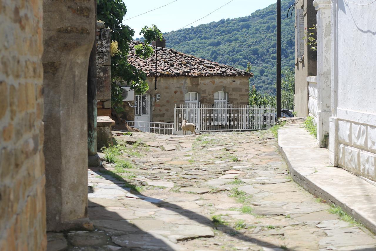 Hotel Zeydali 2*