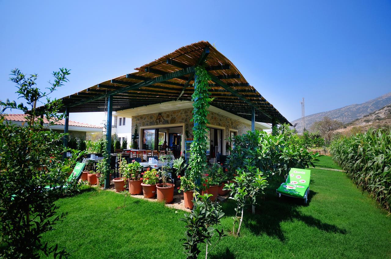 Filiz Hotel *