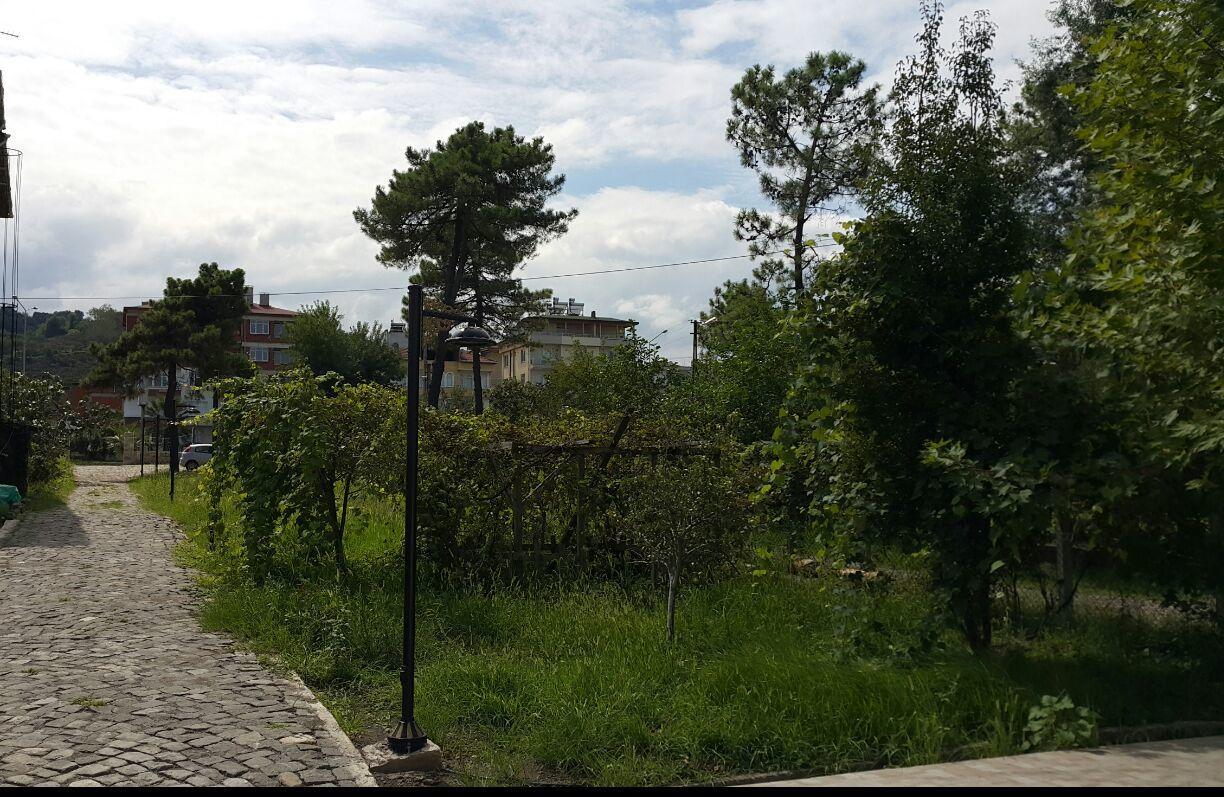 Sebile Hanim Sahil Hotel Unye