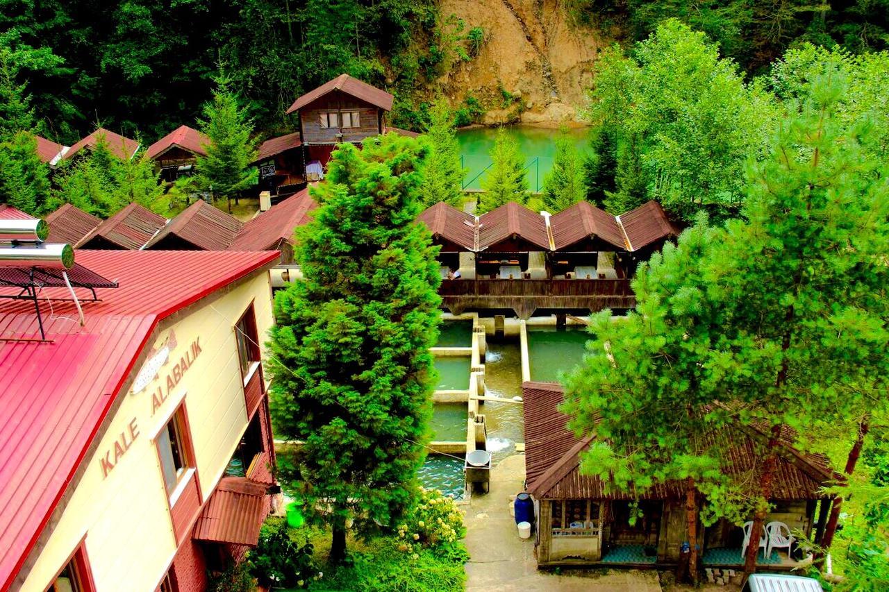 Isikli Kale Homestay Caykara