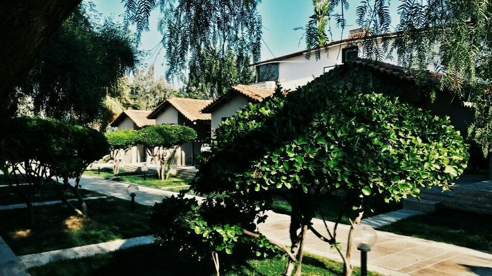 Motel Palm Beach Club Urla
