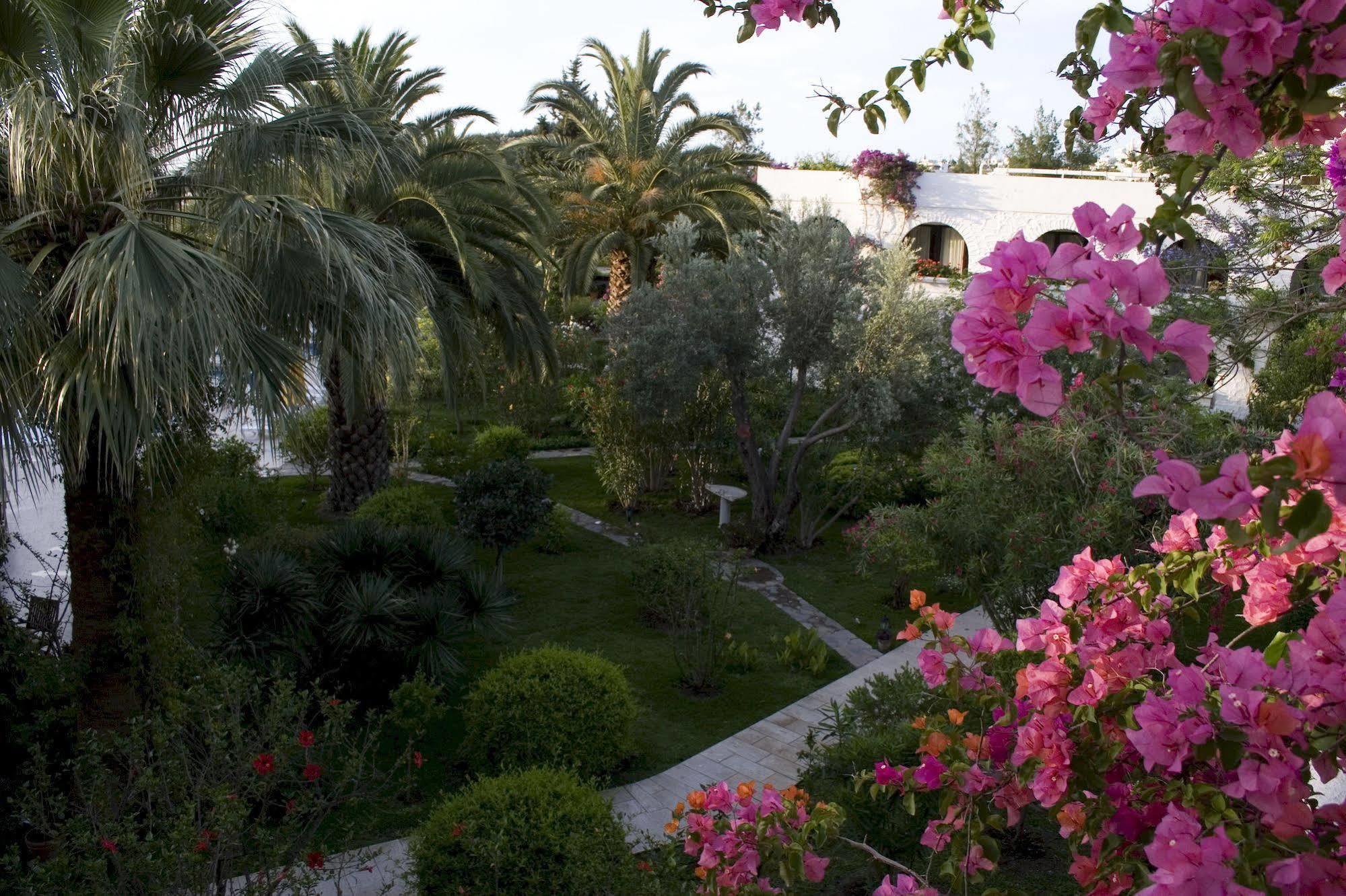 Karia Princess 4*