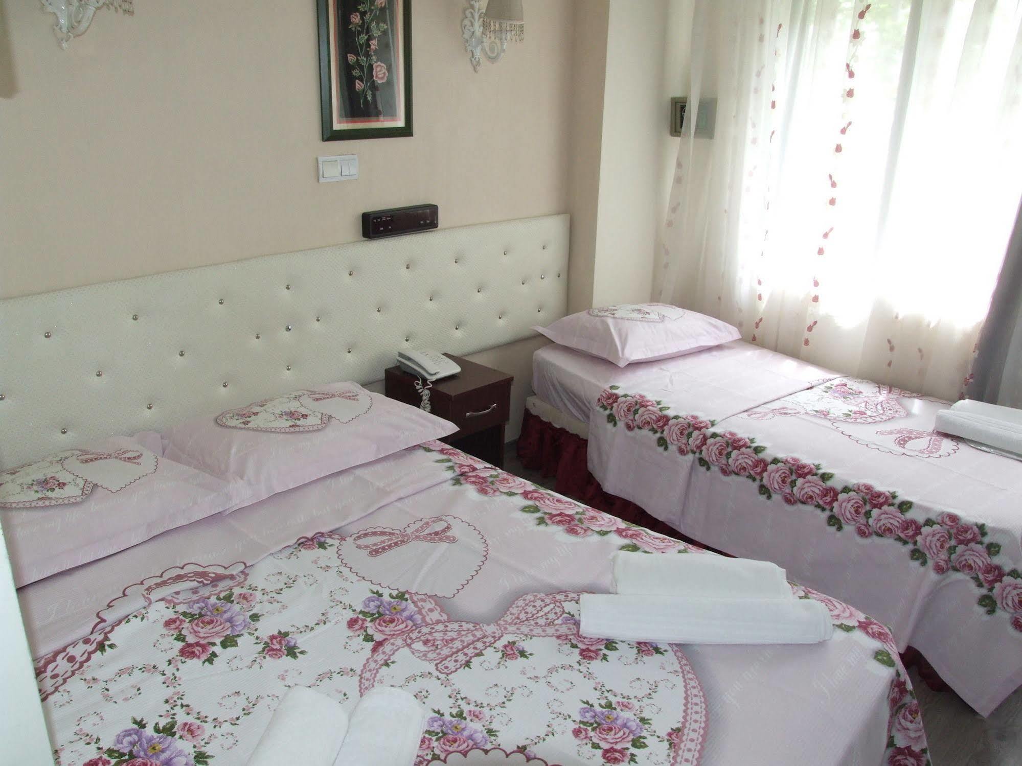 Artemis Old Hotel 3*