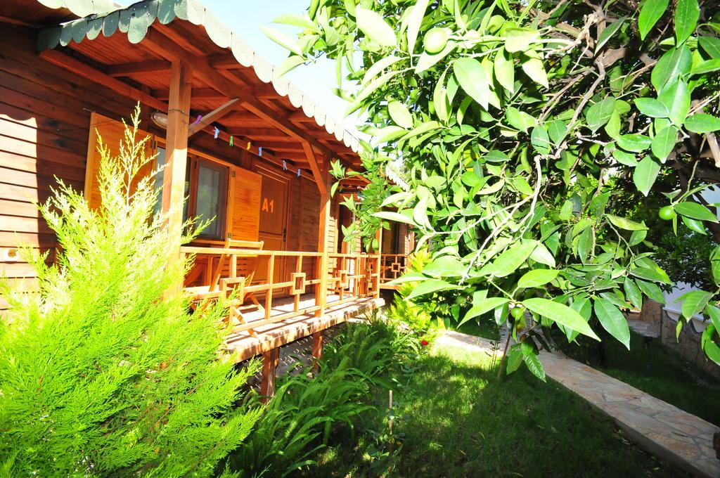 Ikiz Homestay *