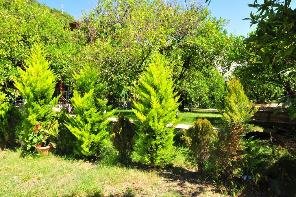 Ikiz Homestay