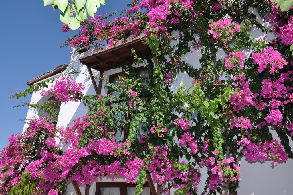 Kalamar Bed & Breakfast 3*