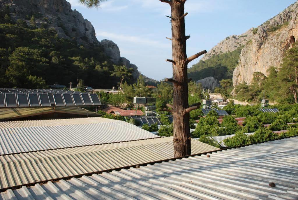 Turkmen Tree Holiday park
