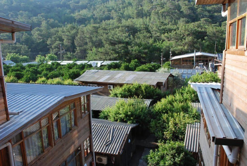 Holiday park Turkmen Tree 3*