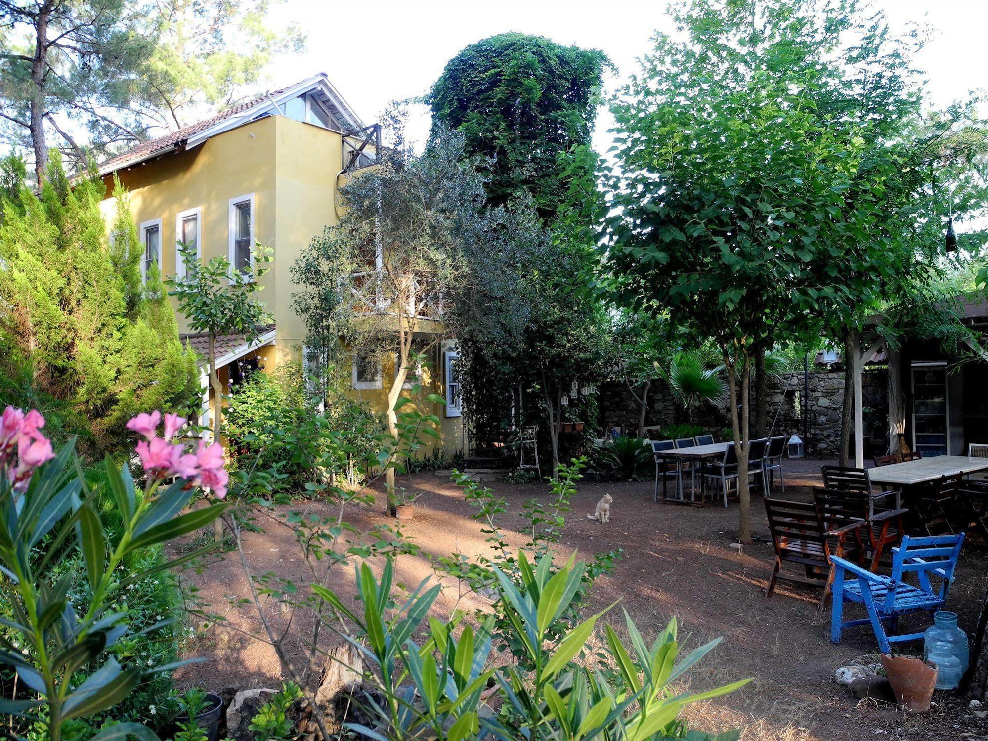 Daphne House 2*