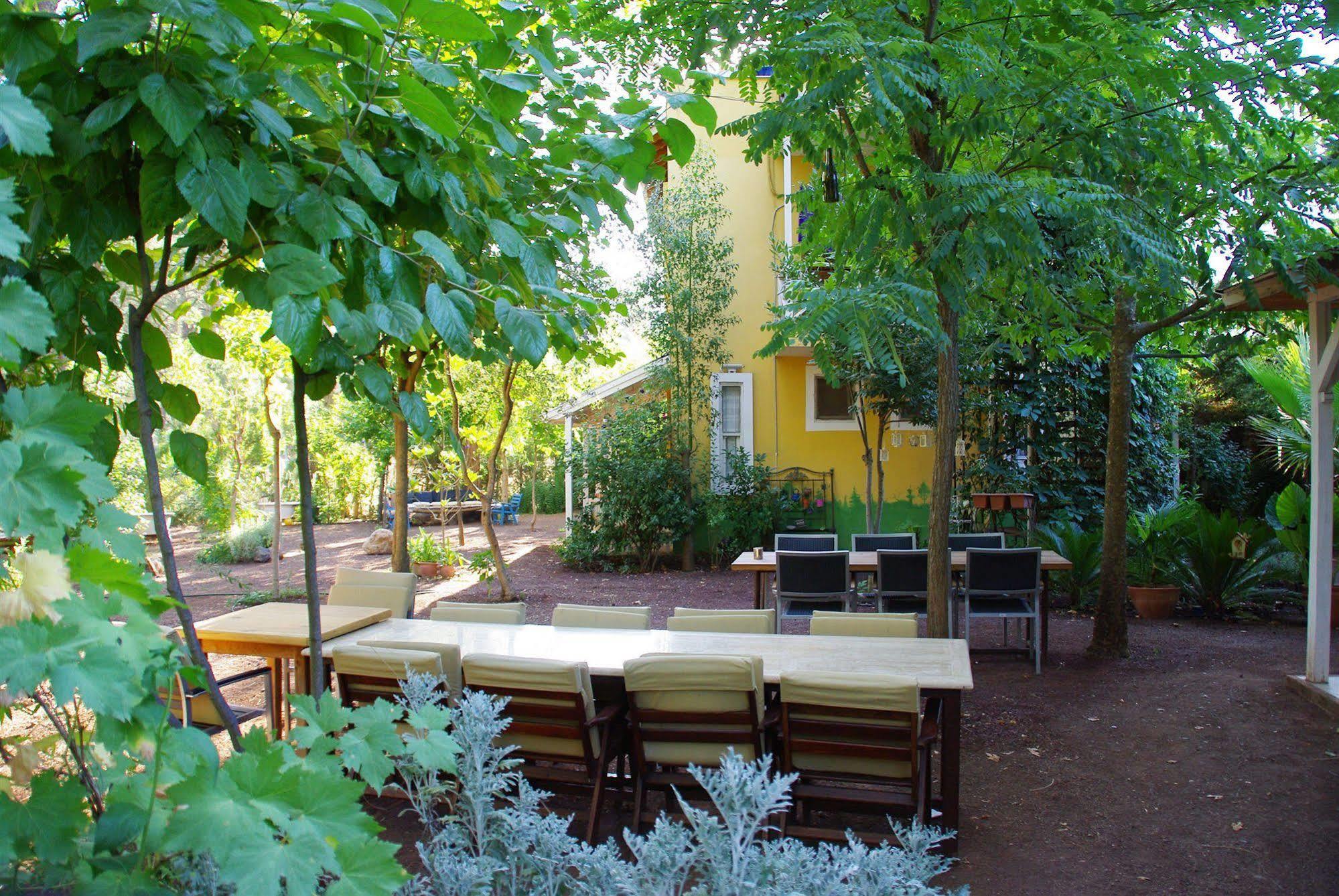 Guest house Daphne House