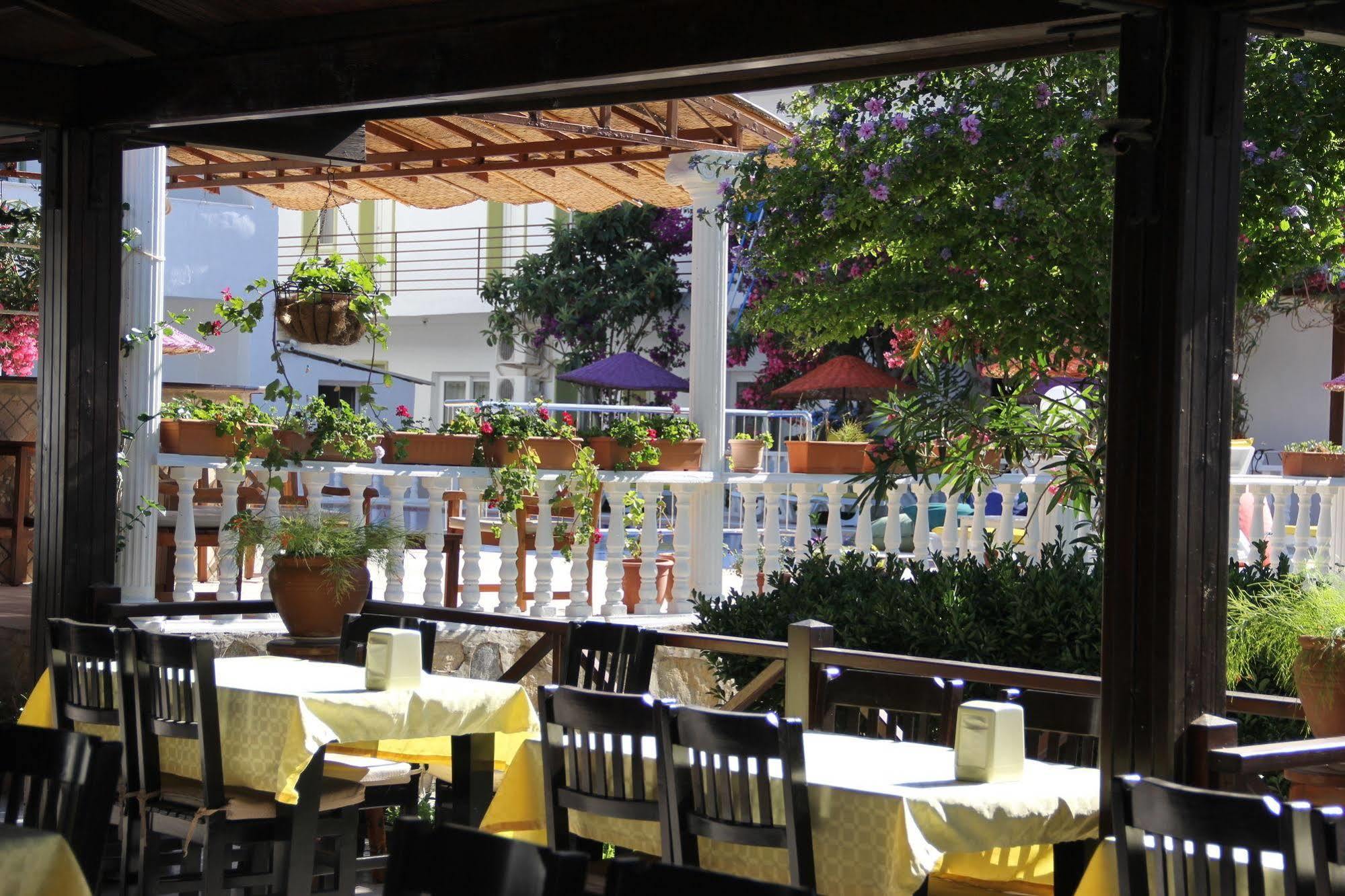 Yilmaz 2* Ortakent