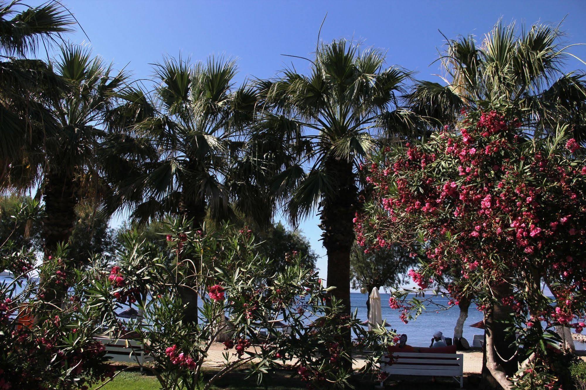 Hotel Yilmaz Ortakent