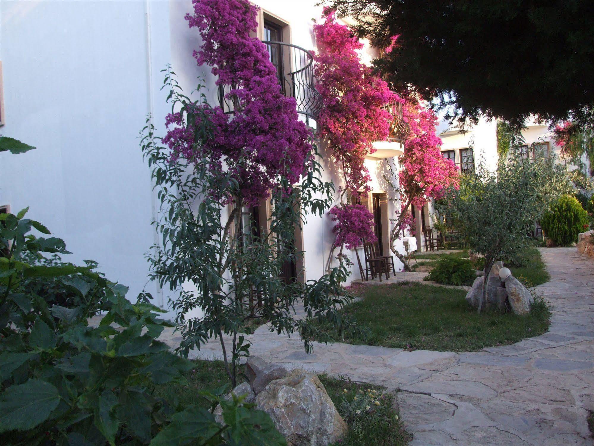 Safir Hotel