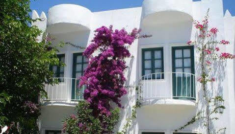 Hotel Safir 2*