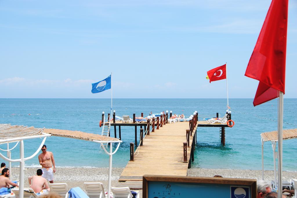 Sentido Palmet