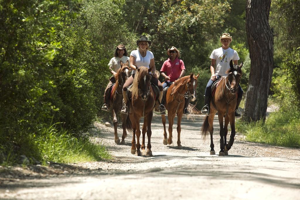 Hotel Berke Ranch&nature