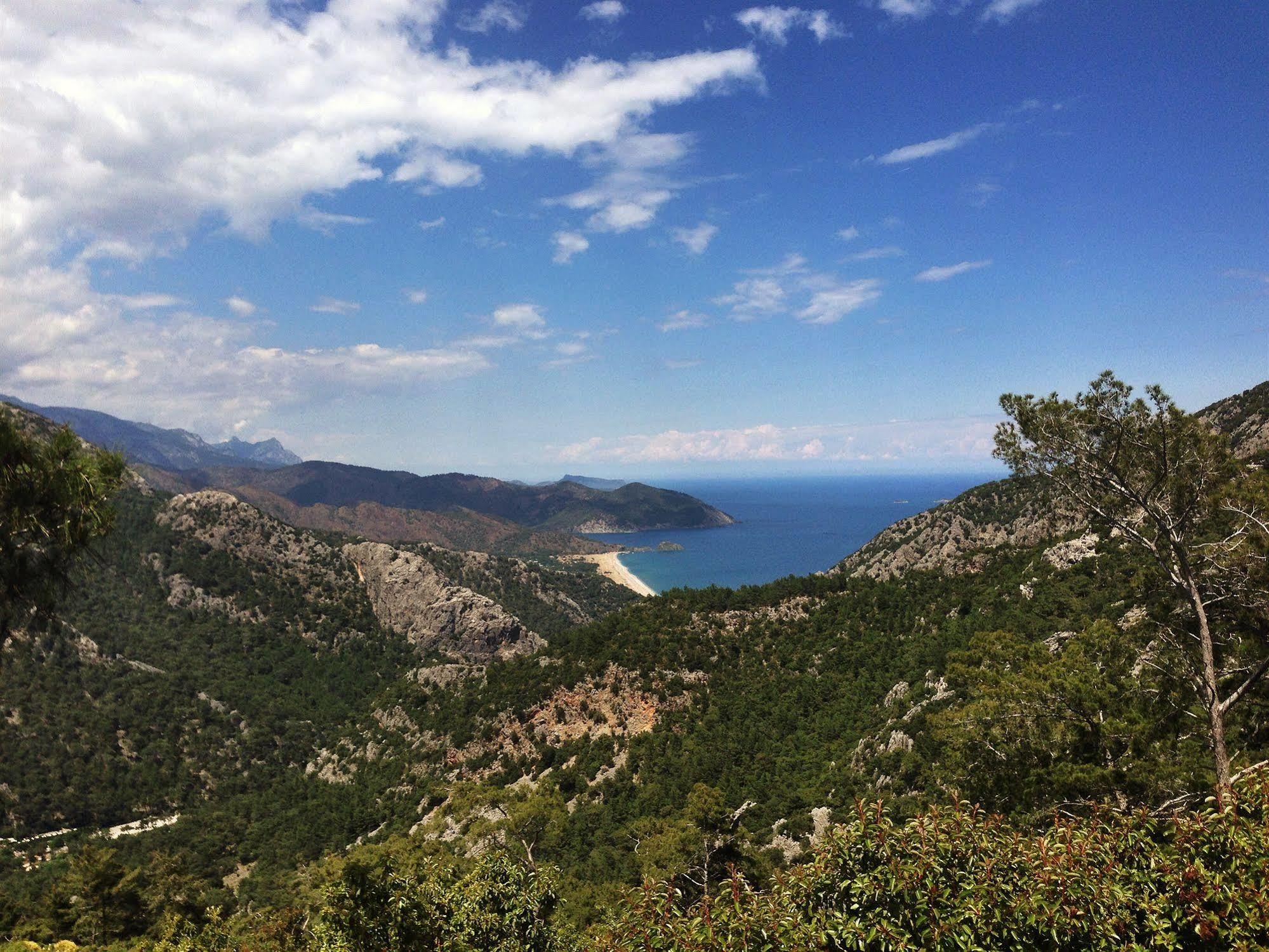 Kadir's Tree Kemer