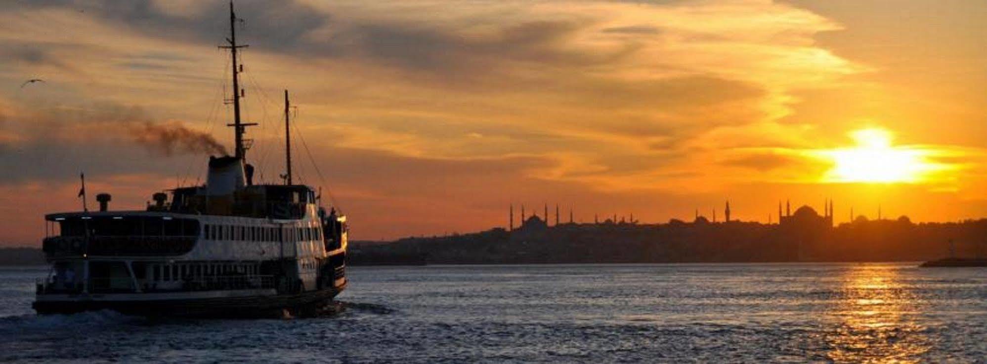 Elasophia