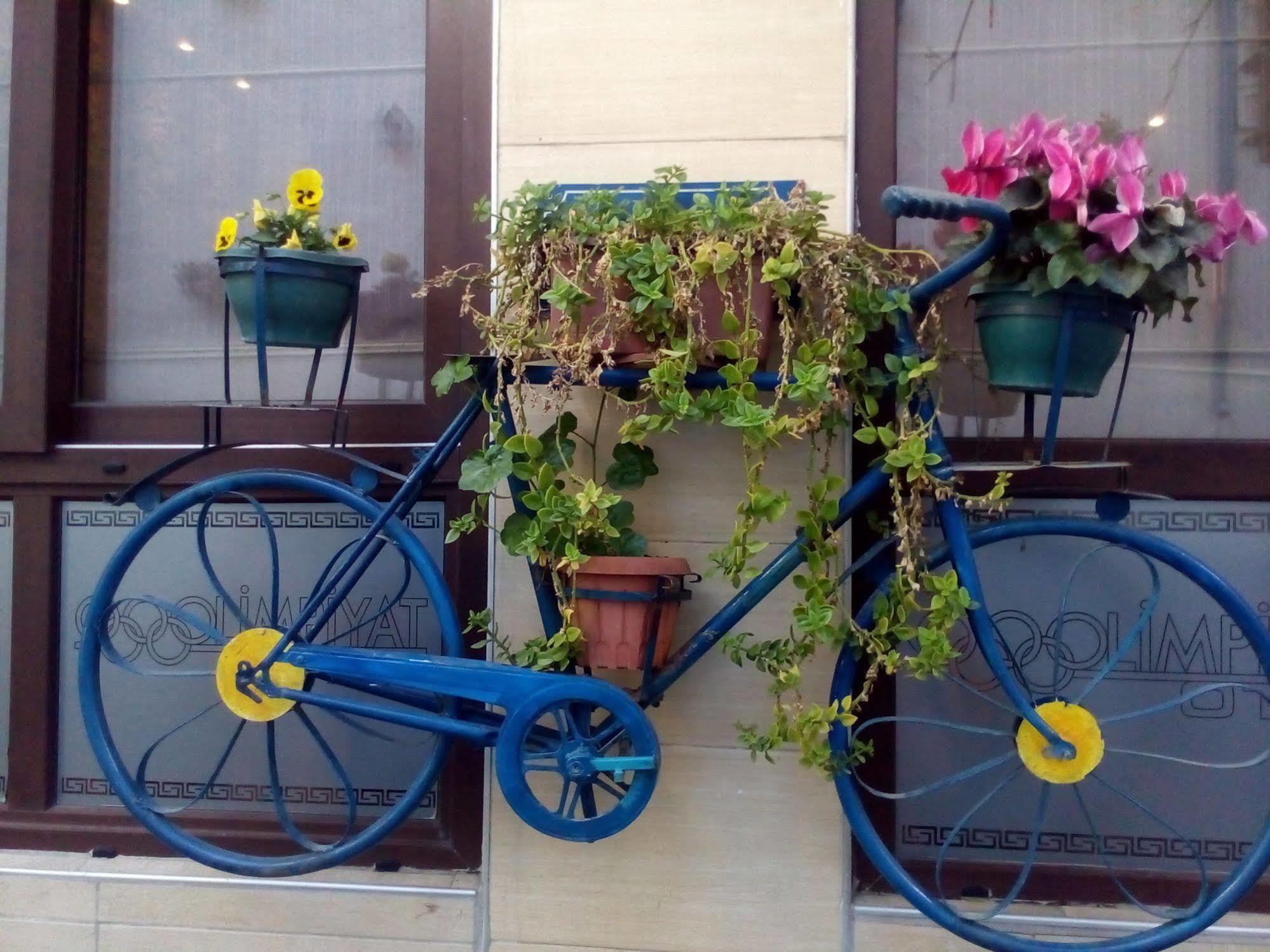 Olimpiyat Hotel 2*
