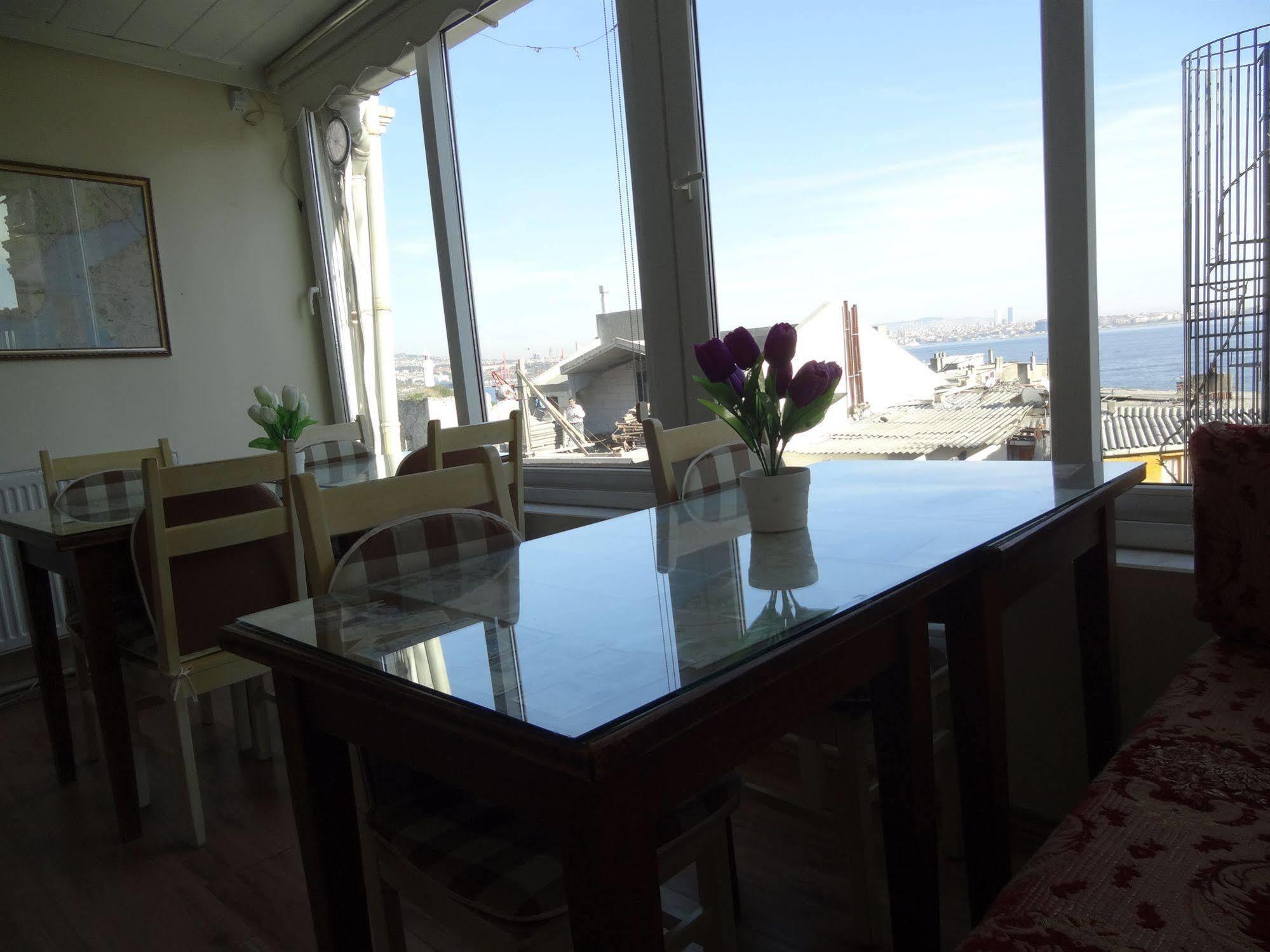Guest house Tulip 2*