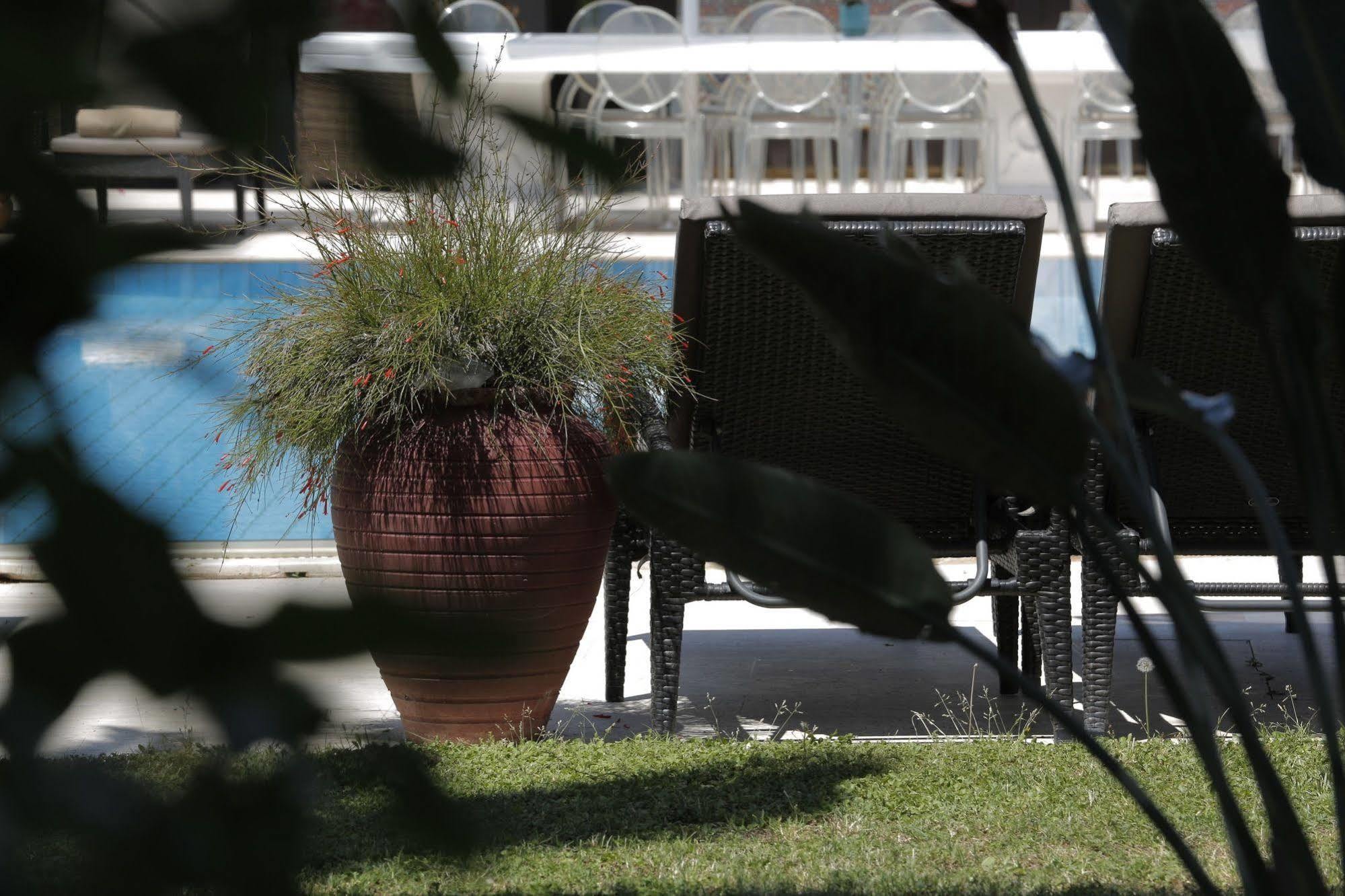 Hotel Princess Artemisia - Interni
