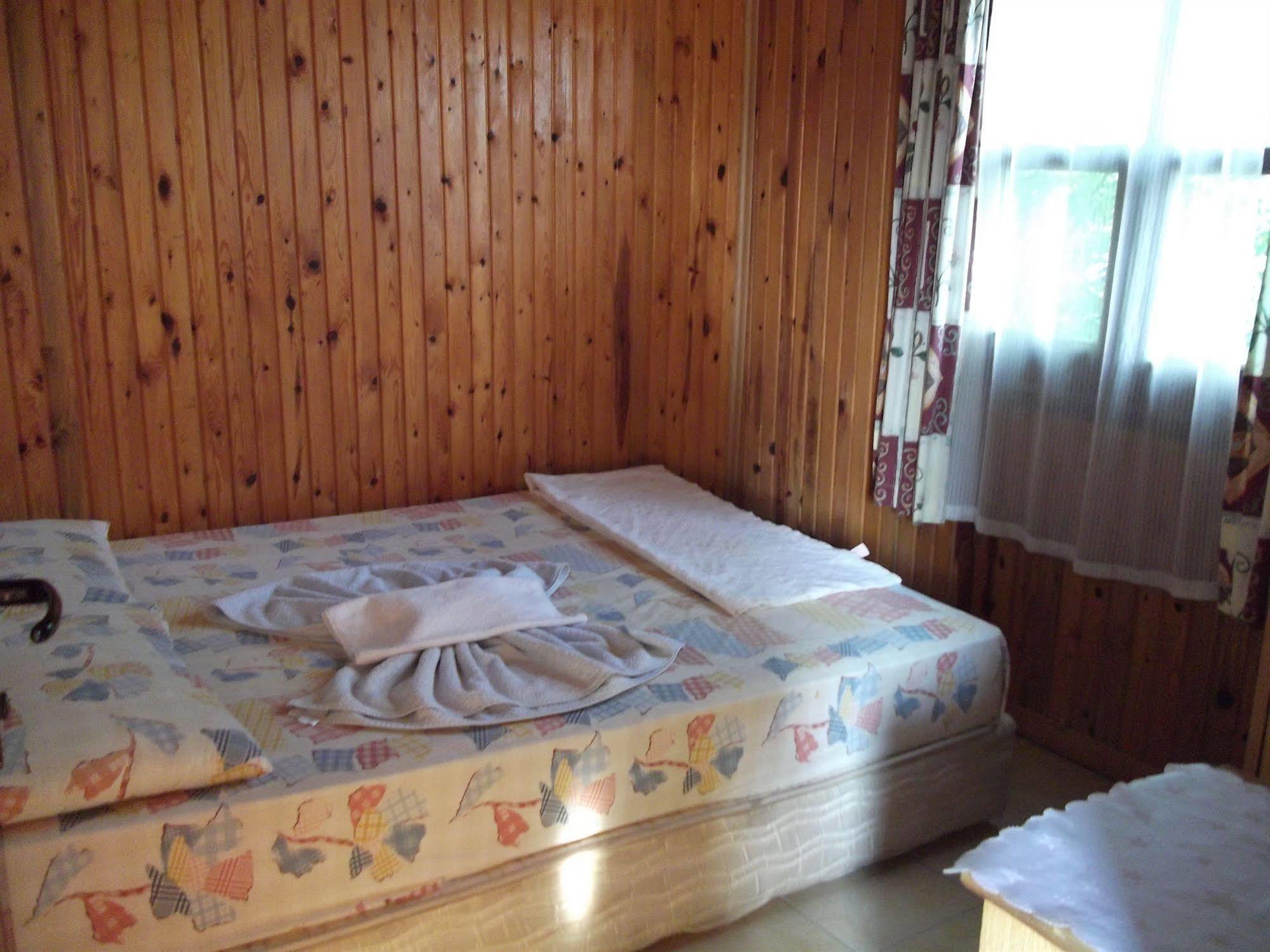 Selen 3*