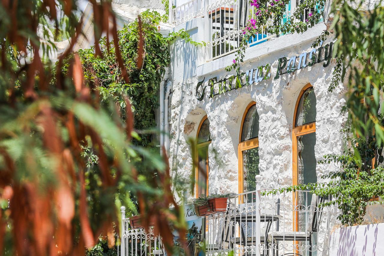 Turkuaz * Kalkan