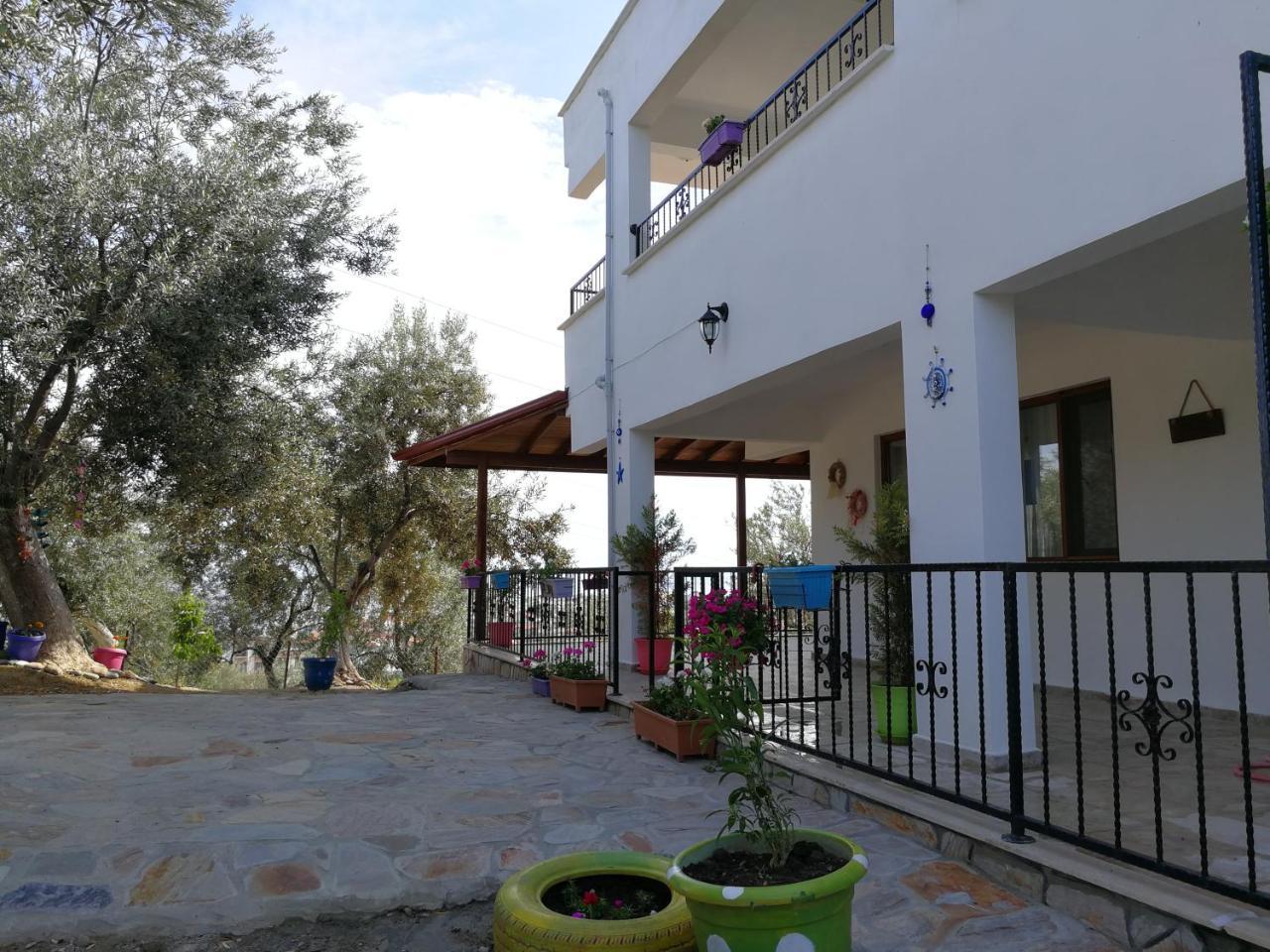 Kaymak Tepesi Tatil Evi Bed & Breakfast *