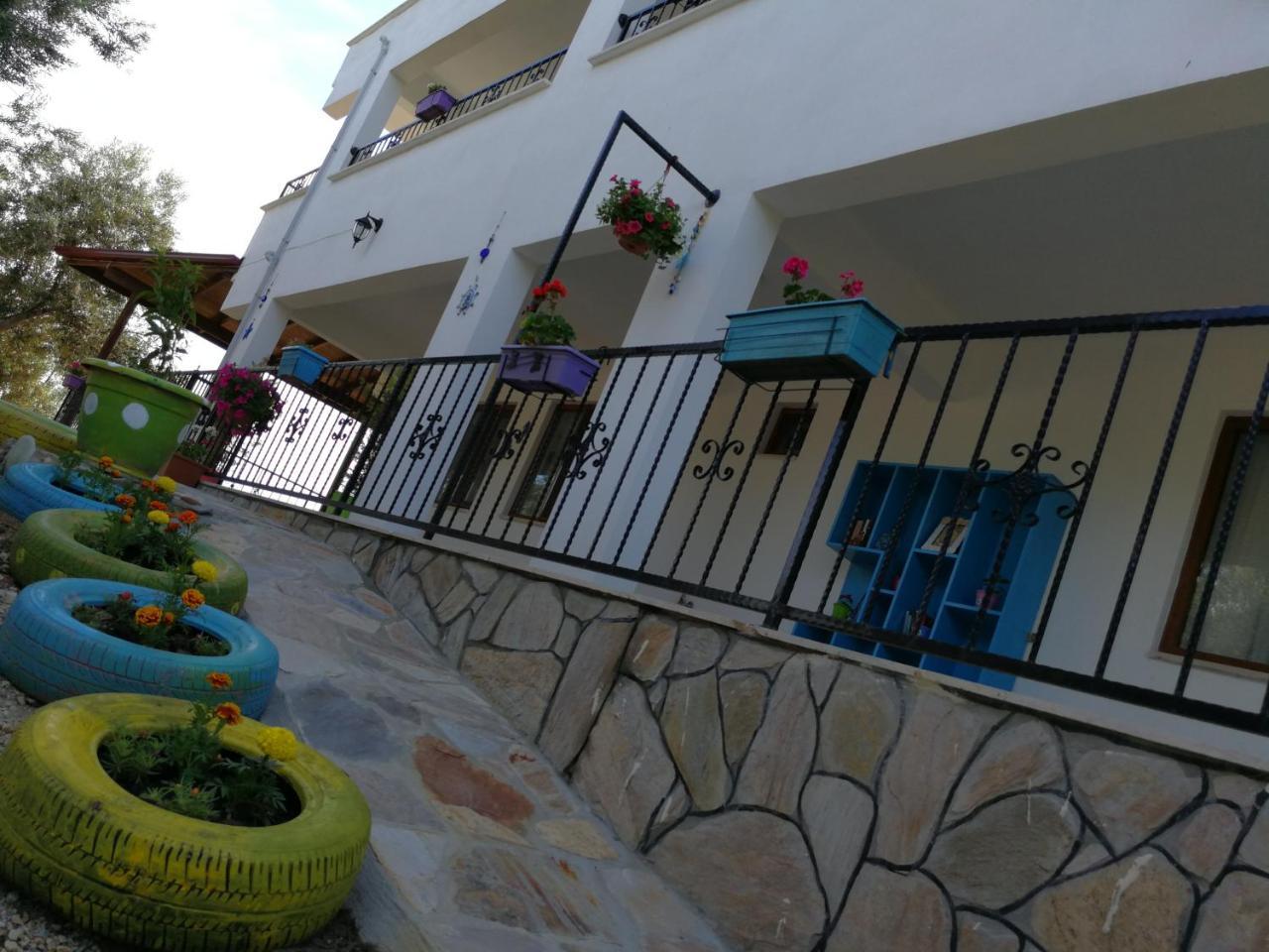 Kaymak Tepesi Tatil Evi Kucukkuyu