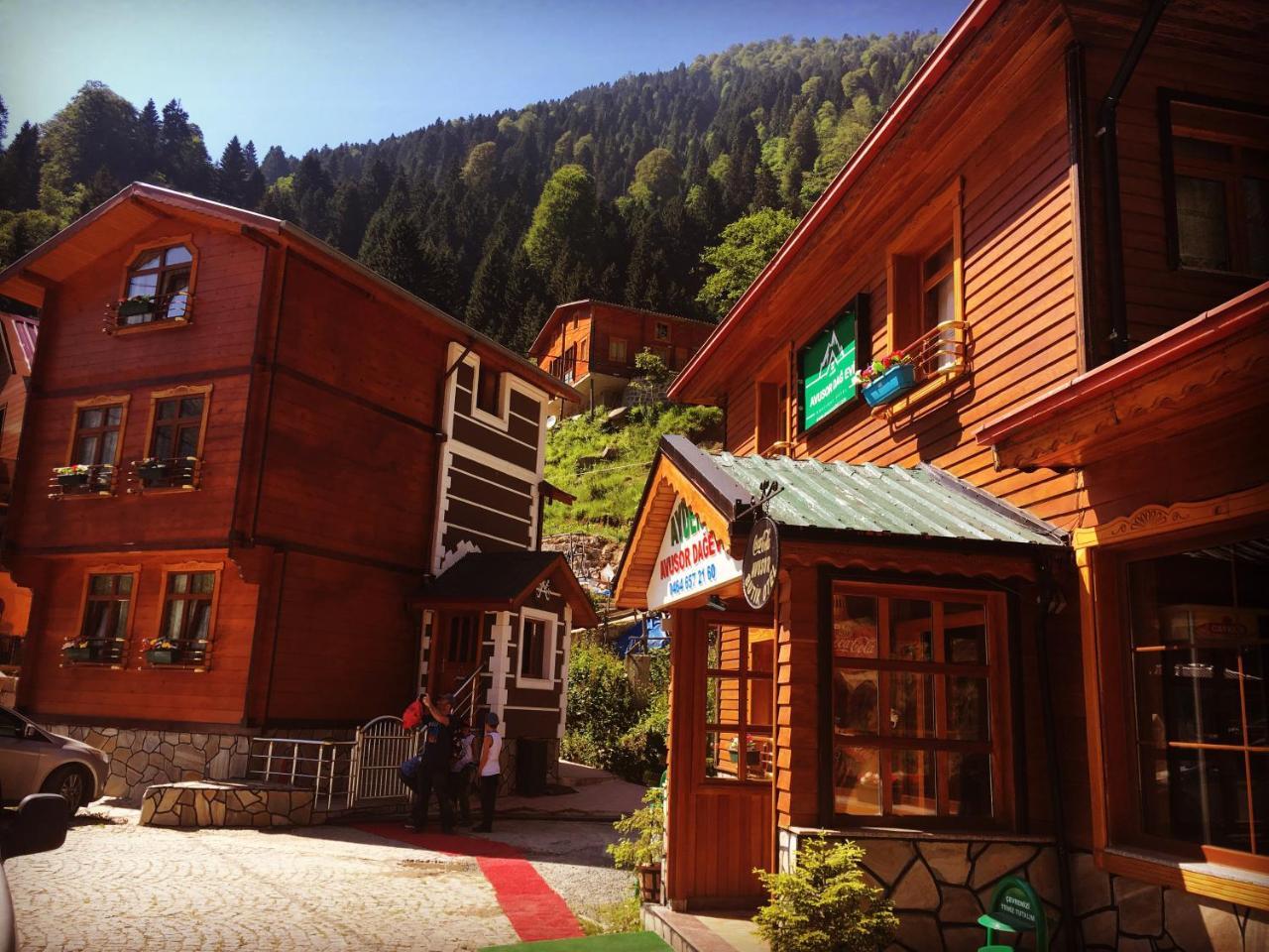 Hotel Avusor