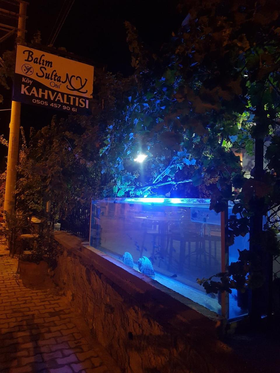 Balim Sultany